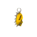 F1. Fenomeno Yellow